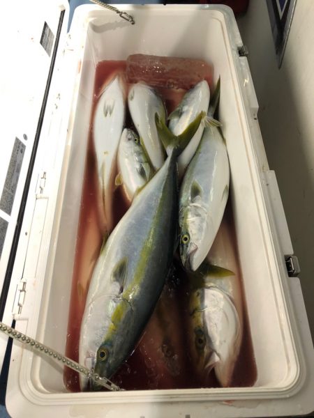 第二八坂丸 釣果