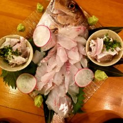 龍神丸（鹿児島） 釣果