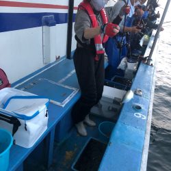 ヤザワ渡船 釣果