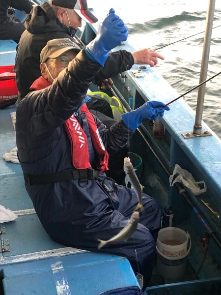 ヤザワ渡船 釣果