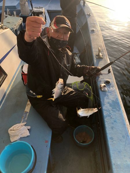 ヤザワ渡船 釣果