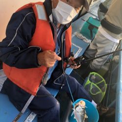 ヤザワ渡船 釣果