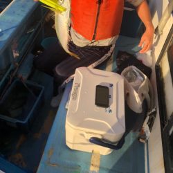 ヤザワ渡船 釣果