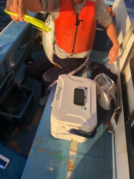 ヤザワ渡船 釣果