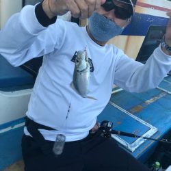 ヤザワ渡船 釣果