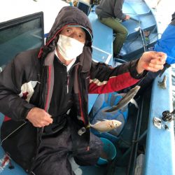 ヤザワ渡船 釣果