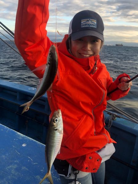 ヤザワ渡船 釣果