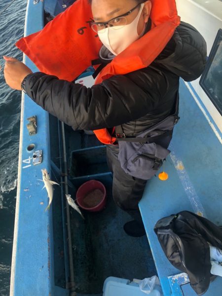 ヤザワ渡船 釣果