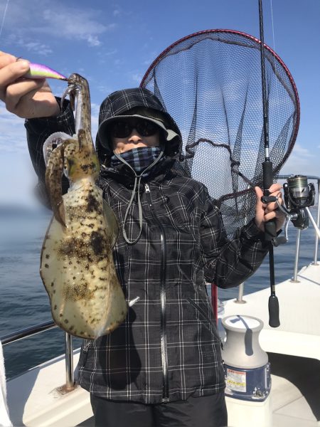 遊漁船メテオ 釣果