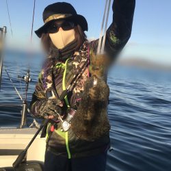 遊漁船メテオ 釣果