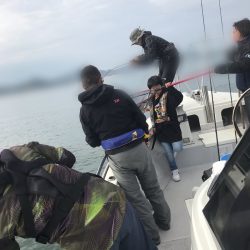 遊漁船メテオ 釣果