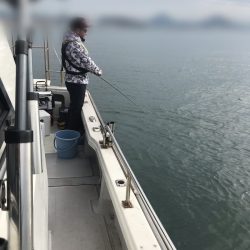 遊漁船メテオ 釣果