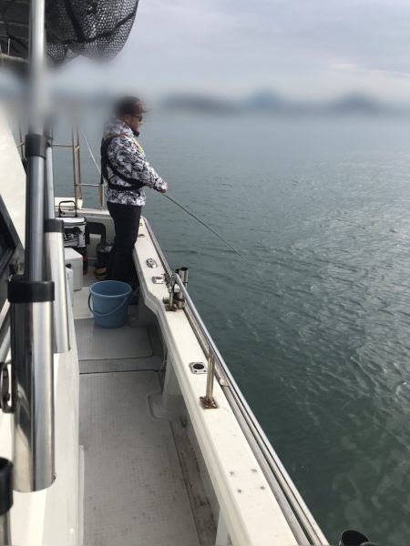 遊漁船メテオ 釣果