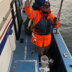 ヤザワ渡船 釣果