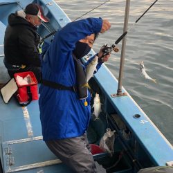 ヤザワ渡船 釣果