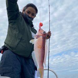 あみや渡船 JIGBOY 釣果