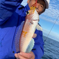 あみや渡船 JIGBOY 釣果