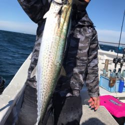 ランスルー 釣果