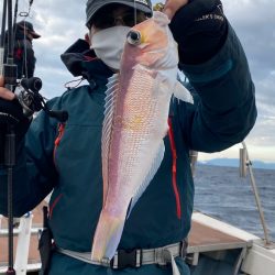 あみや渡船 JIGBOY 釣果