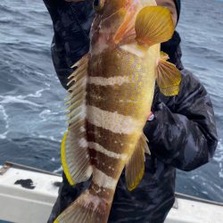 あみや渡船 JIGBOY 釣果