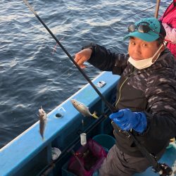 ヤザワ渡船 釣果