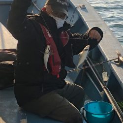 ヤザワ渡船 釣果