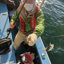 ヤザワ渡船 釣果