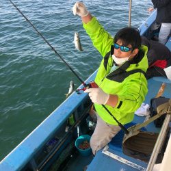 ヤザワ渡船 釣果