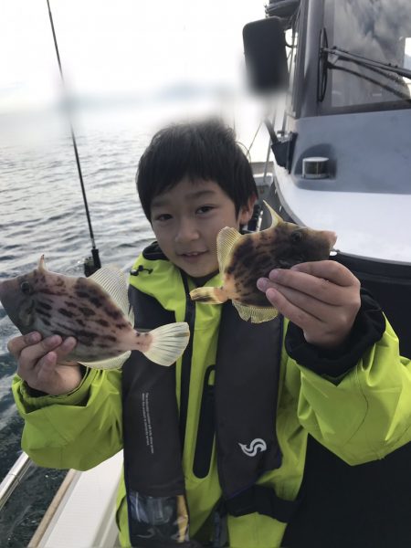 遊漁船メテオ 釣果