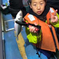 ヤザワ渡船 釣果