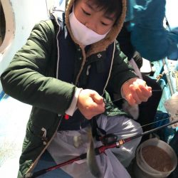 ヤザワ渡船 釣果