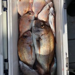 フィッシング　キッタカ 釣果