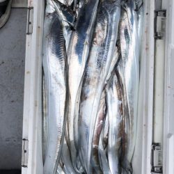 フィッシング　キッタカ 釣果