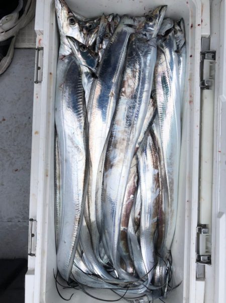 フィッシング　キッタカ 釣果