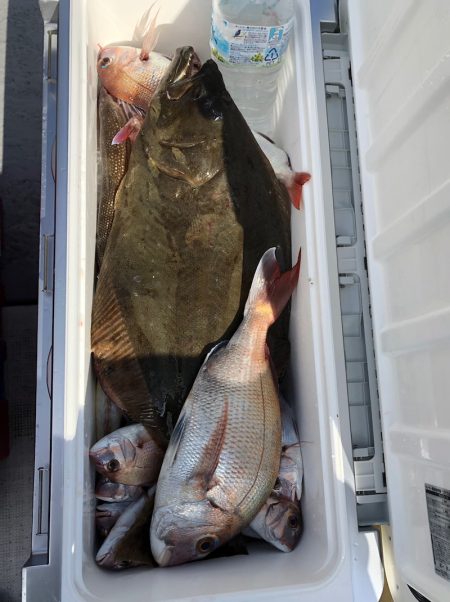 フィッシング　キッタカ 釣果