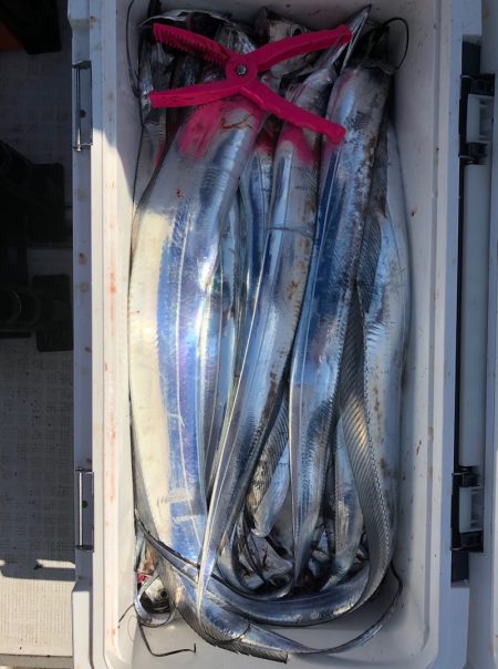 フィッシング　キッタカ 釣果