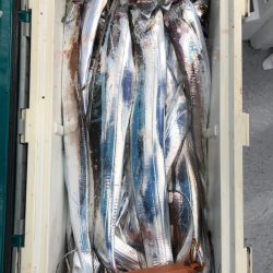 フィッシング　キッタカ 釣果