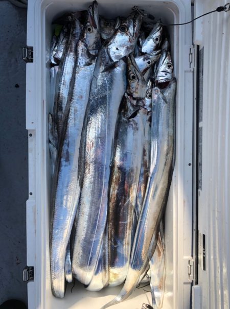 フィッシング　キッタカ 釣果