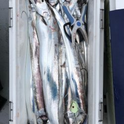 フィッシング キッタカ 釣果