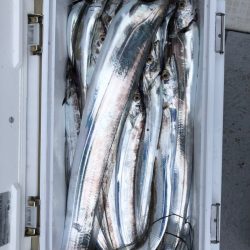 フィッシング キッタカ 釣果