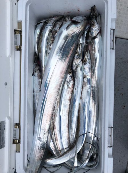 フィッシング キッタカ 釣果