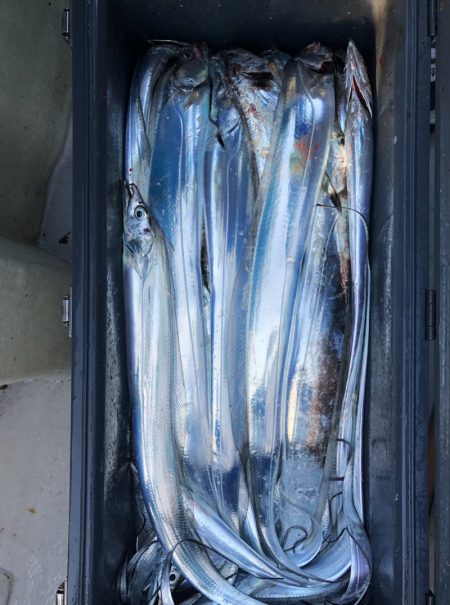 フィッシング　キッタカ 釣果