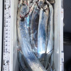 フィッシング　キッタカ 釣果