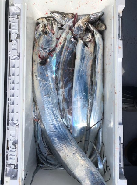 フィッシング　キッタカ 釣果