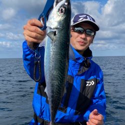 あみや渡船 JIGBOY 釣果