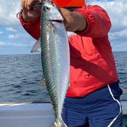 あみや渡船 JIGBOY 釣果