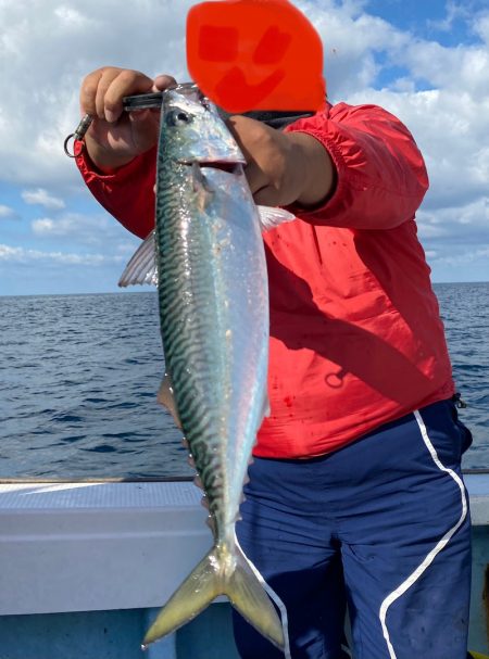 あみや渡船 JIGBOY 釣果