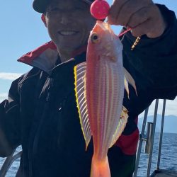 あみや渡船 JIGBOY 釣果