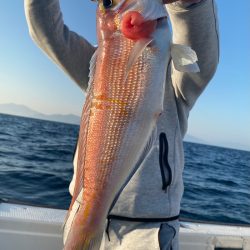 あみや渡船 JIGBOY 釣果