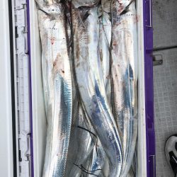 フィッシング　キッタカ 釣果